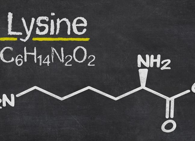 Lysine Benefits