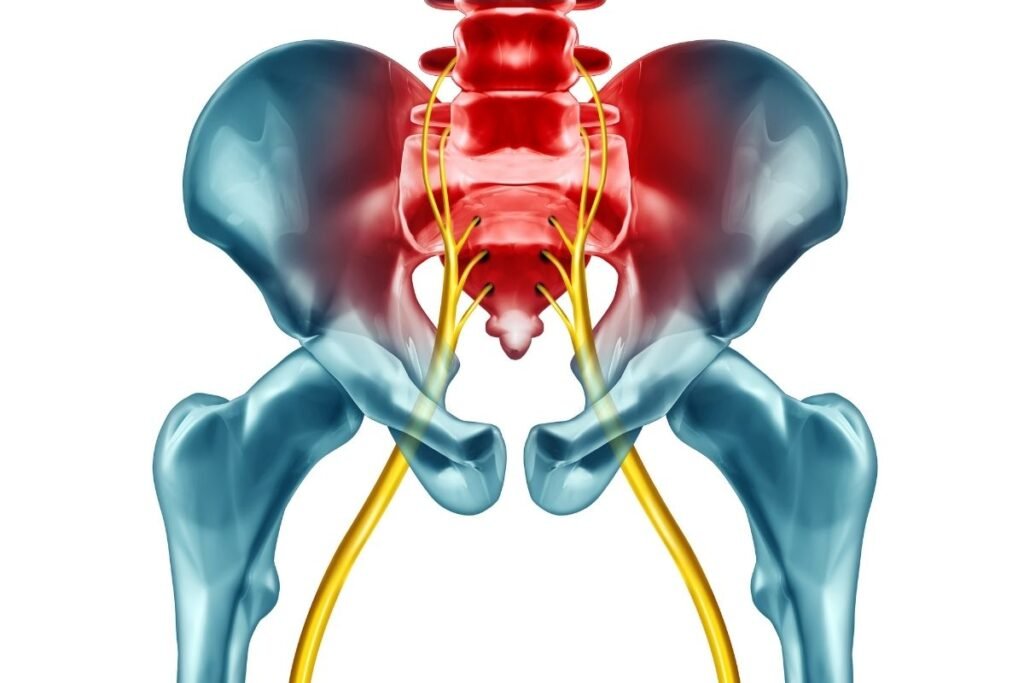 Sciatica Nerve Pain And Back Pain