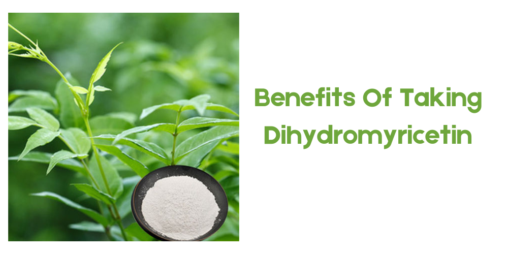 benefits of taking Dihydromyricetin